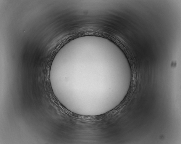 X0000116110774200911230954