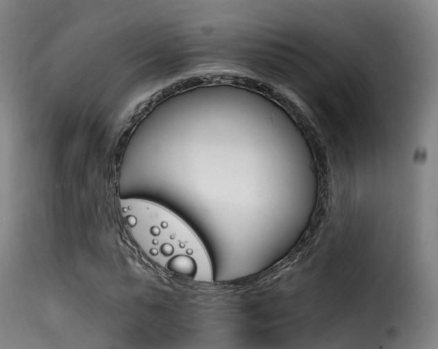 X0000116110775200911230954