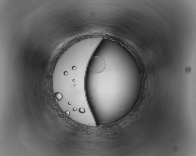 X0000116110776200911230954