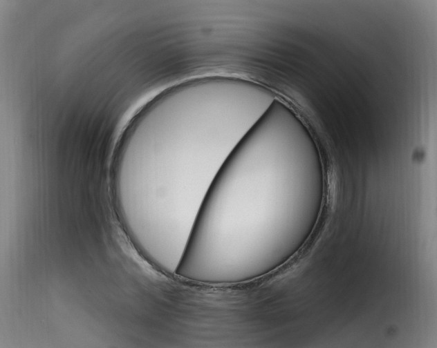 X0000116110780200911230954