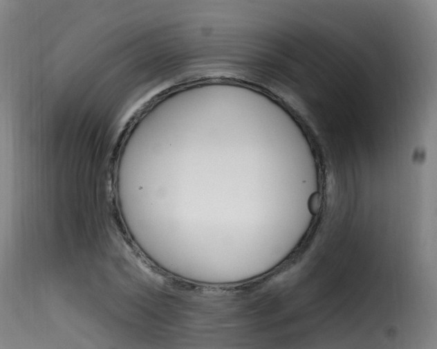 X0000116110782200911230954