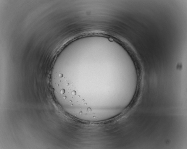 X0000116110785200911230954