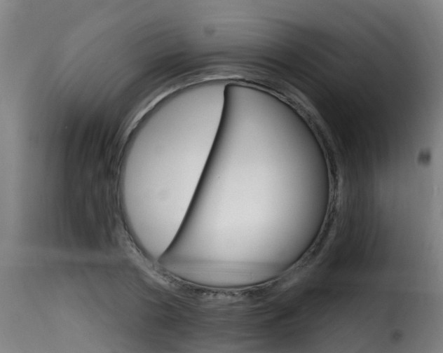 X0000116110786200911230954