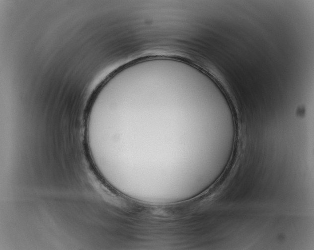 X0000116110787200911230954