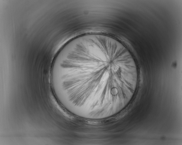 X0000116110794200911230954