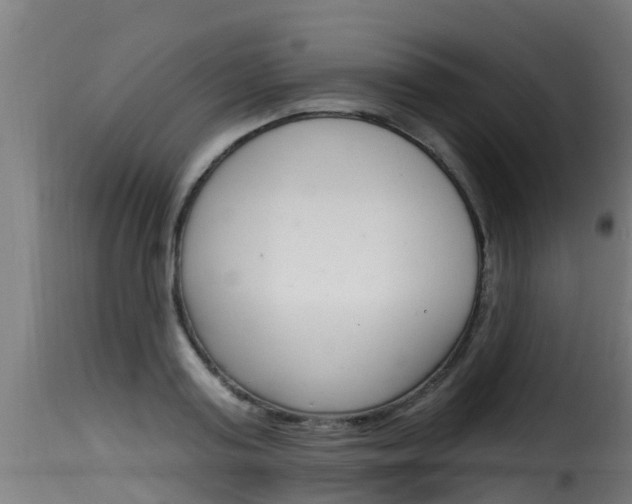 X0000116110795200911230954