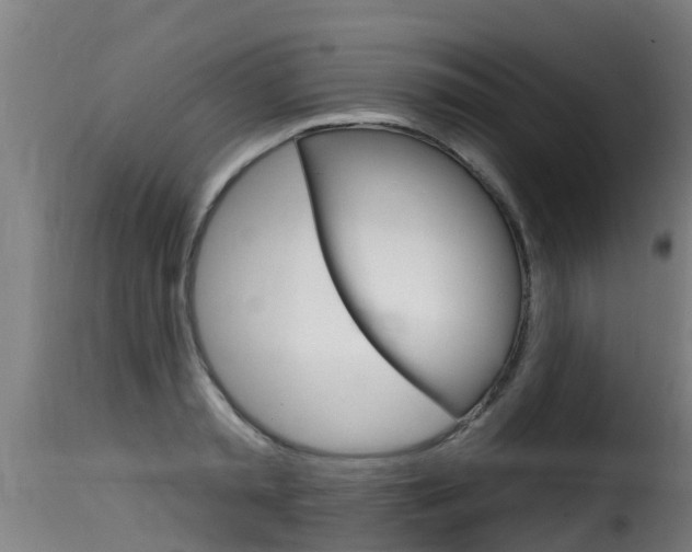 X0000116110797200911230954