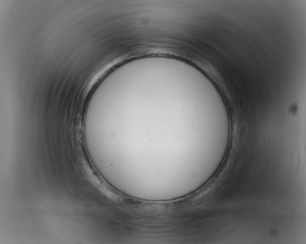X0000116110798200911230954