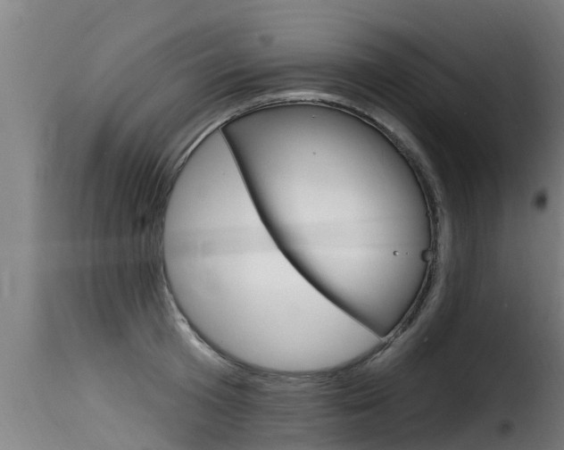 X0000116110801200911230954