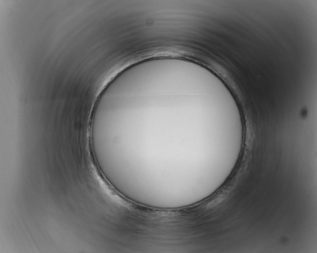 X0000116110802200911230954