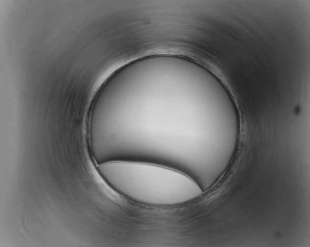 X0000116110803200911230954