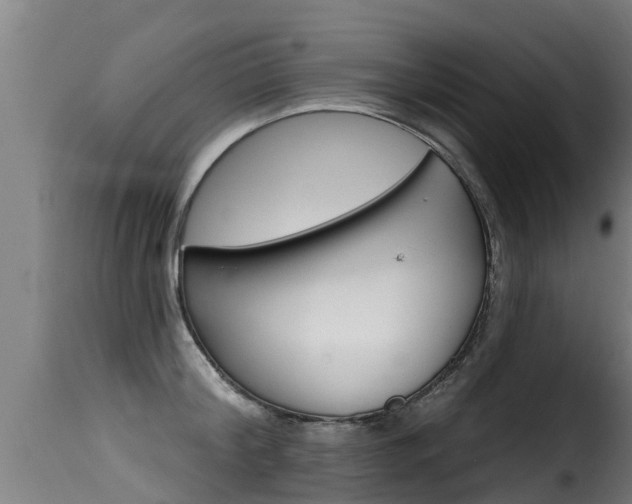 X0000116110804200911230954