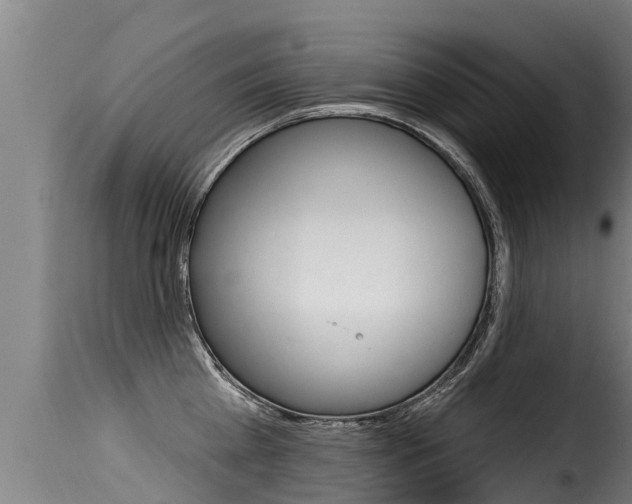 X0000116110809200911230953