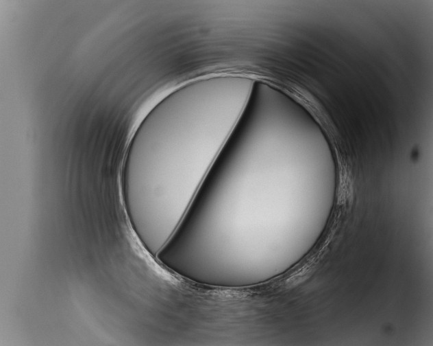 X0000116110812200911230953