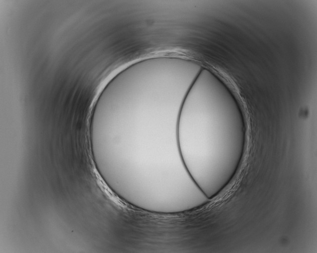 X0000116110816200911230953