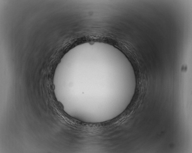 X0000116110817200911230953