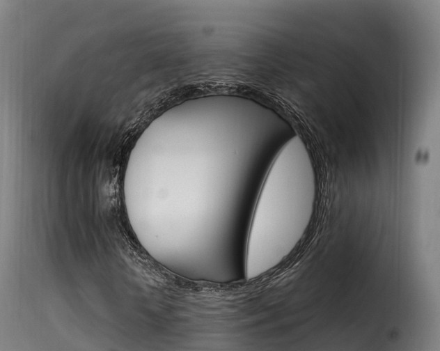 X0000116110818200911230953