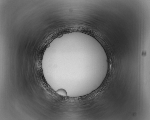 X0000116110819200911230953