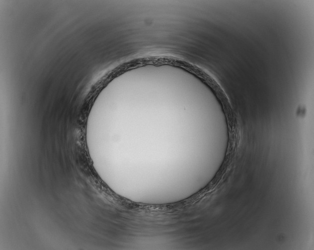 X0000116110823200911230953