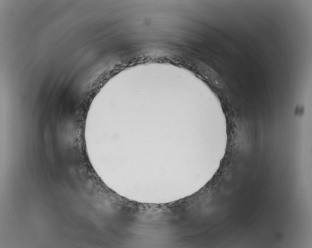 X0000116110824200911230953