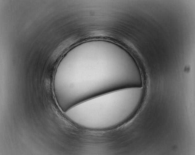 X0000116110825200911230953