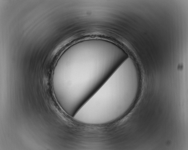 X0000116110826200911230953