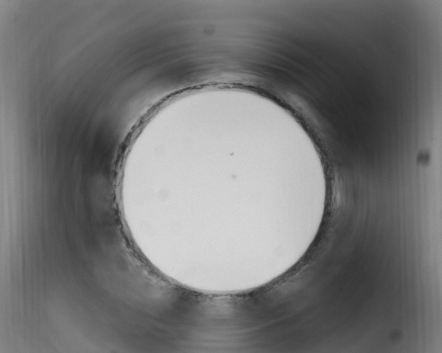 X0000116110828200911230953