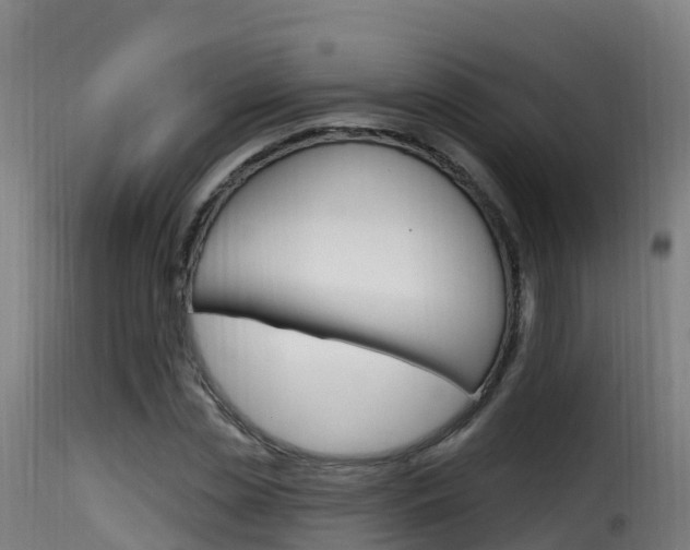 X0000116110829200911230953