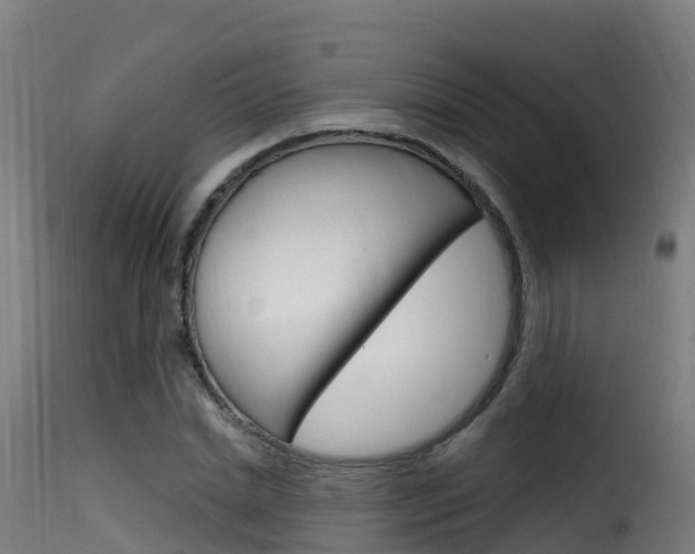 X0000116110830200911230953