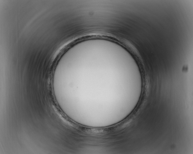 X0000116110831200911230953