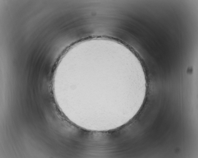 X0000116110832200911230953