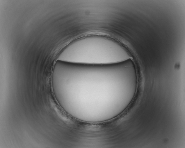 X0000116110833200911230953