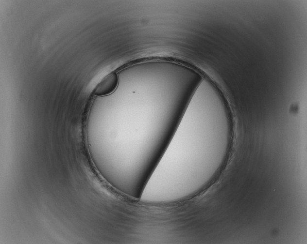 X0000116110834200911230953