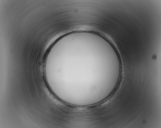 X0000116110835200911230953