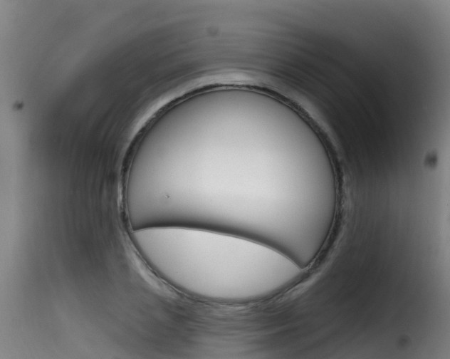 X0000116110837200911230953
