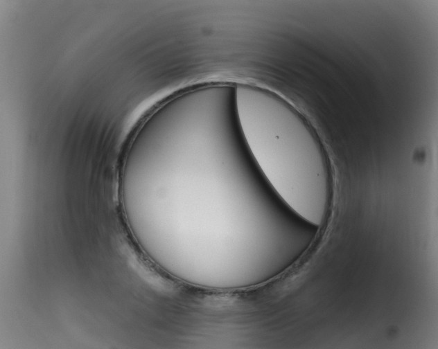 X0000116110838200911230953