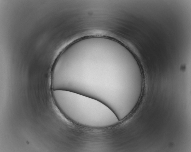 X0000116110839200911230953