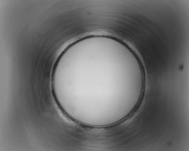 X0000116110845200911230953