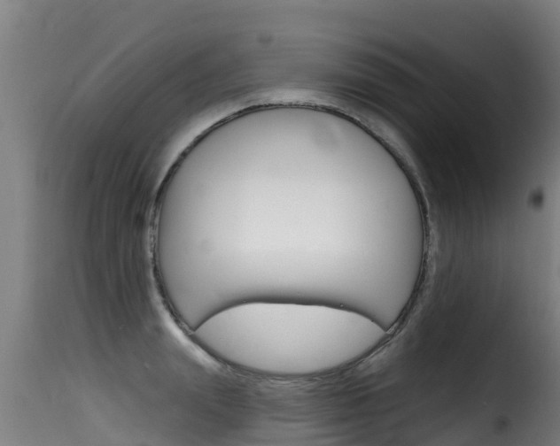X0000116110847200911230953