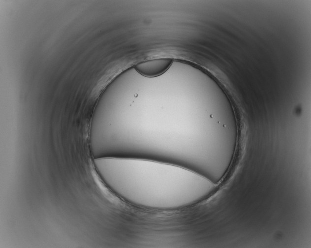 X0000116110849200911230953