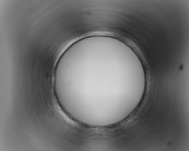 X0000116110852200911230953