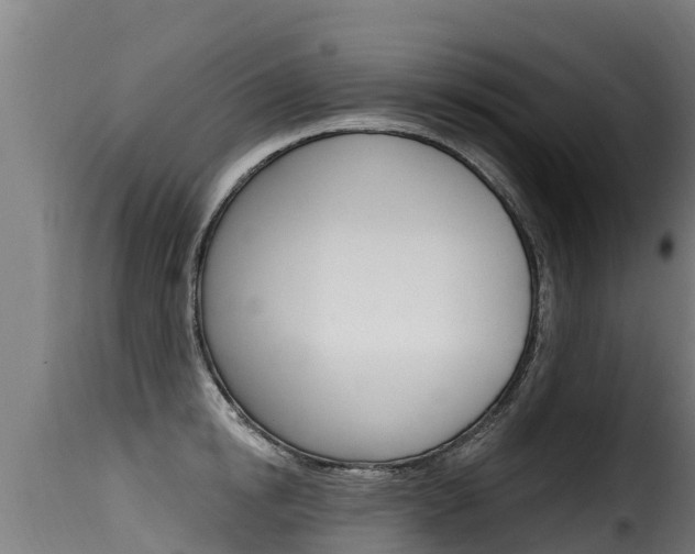 X0000116110854200911230953