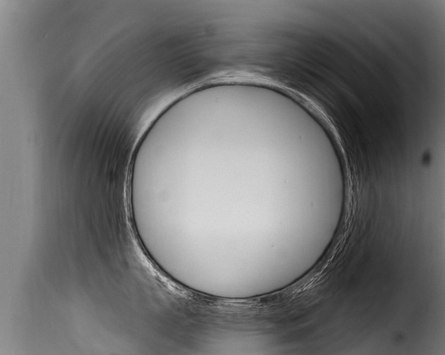 X0000116110863200911230953