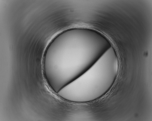 X0000116110864200911230953