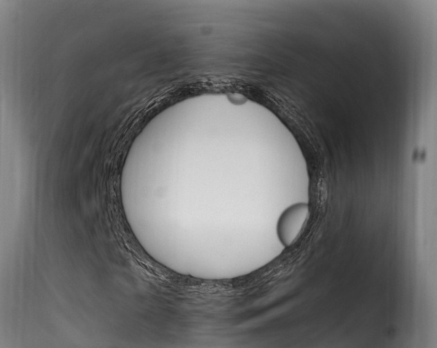 X0000116110865200911230953
