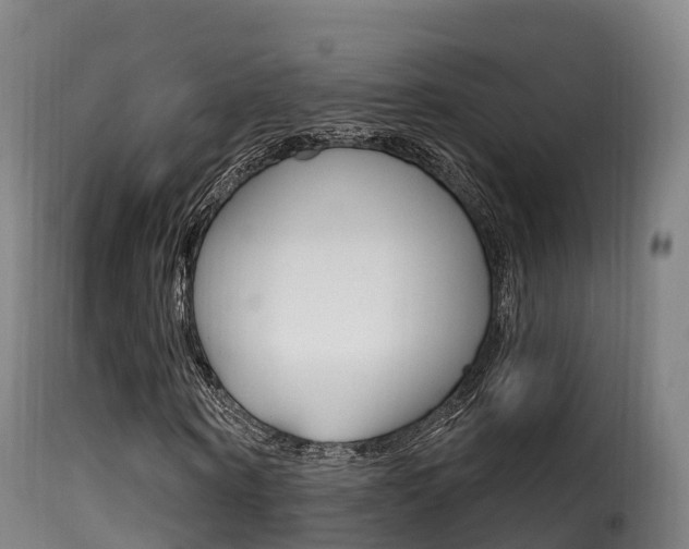 X0000116110866200911230953