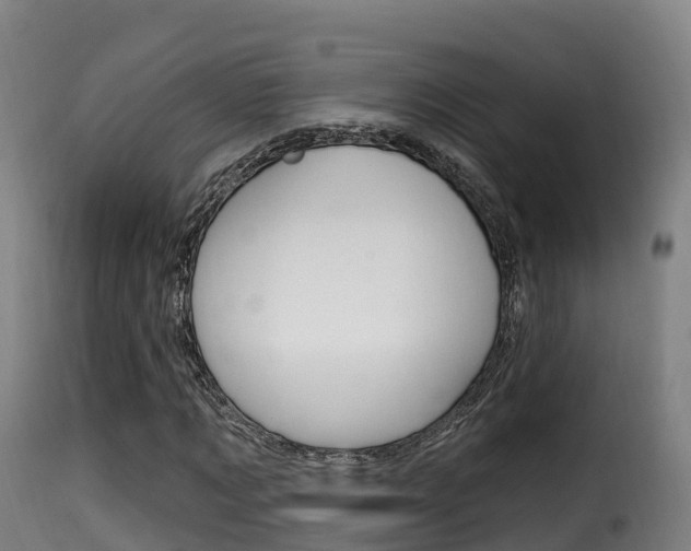 X0000116110869200911230952