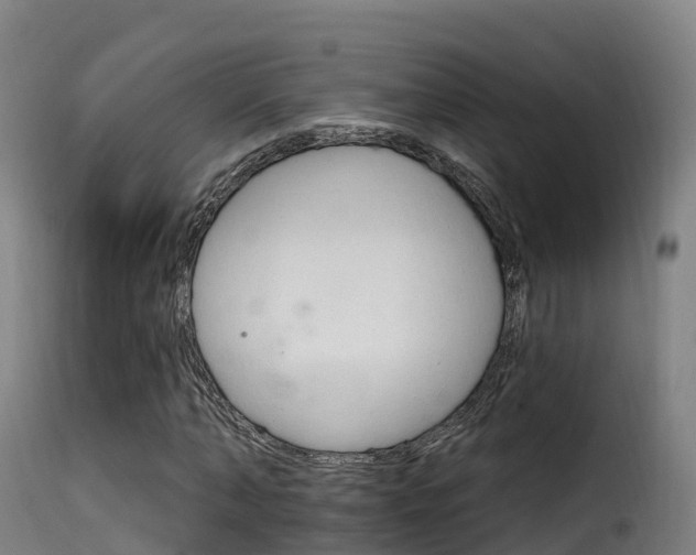 X0000116110870200911230952