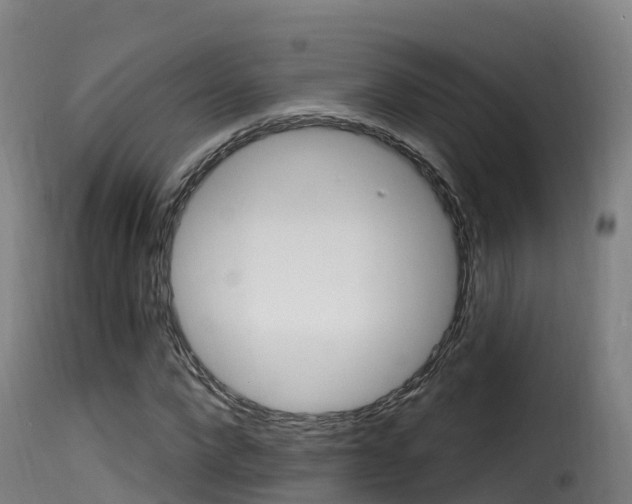 X0000116110872200911230952