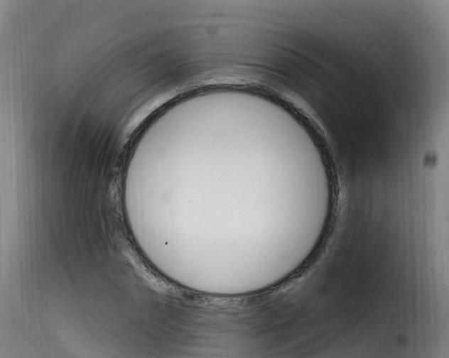 X0000116110874200911230952